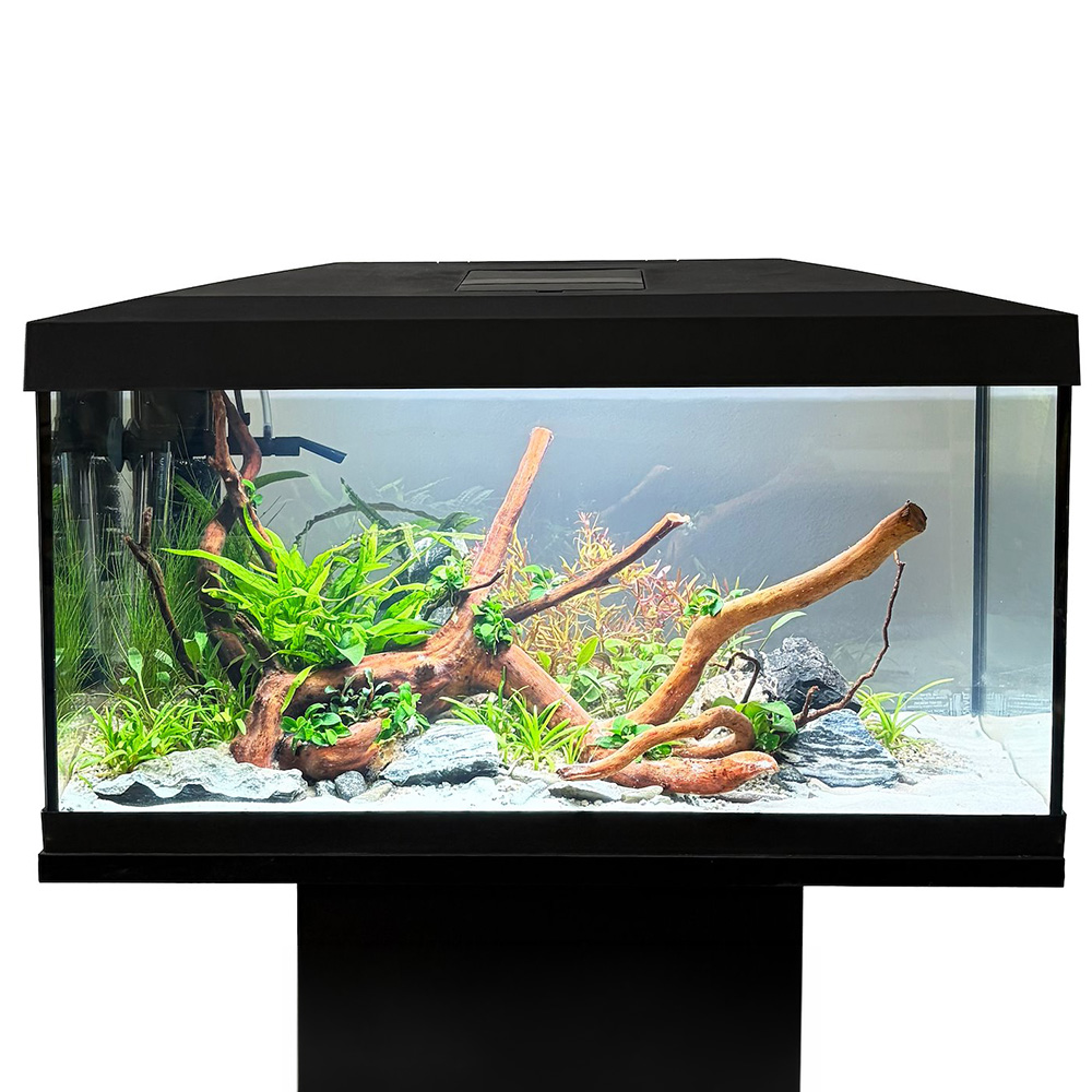 Aqua Play 60 Zestaw Akwarium proste + pokrywa LED D&N